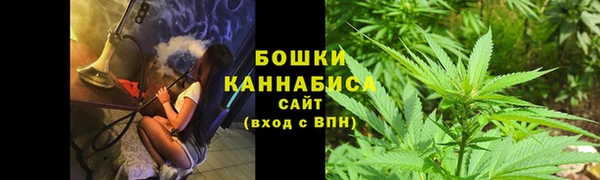 бошки Верхний Тагил