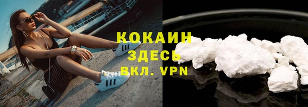 молекула духа Бородино