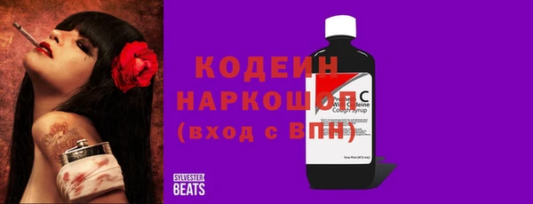 молекула духа Бородино