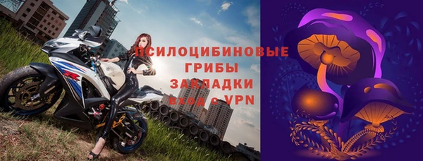 молекула духа Бородино