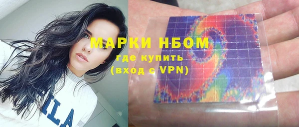 молекула духа Бородино